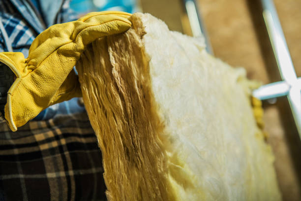 Best Eco-Friendly Insulation in Oriska, NY